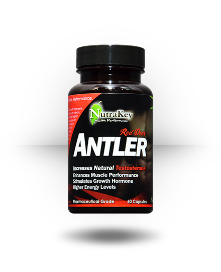 Nutrakey Supplements Red Deer Antler 3 Nutrakey Supplements Red Deer Antler