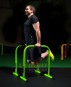 Lebert Fitness Equipment Equalizer 14 Lebert Fitness Equipment Equalizer