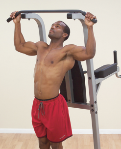 Body-Solid Equipment Vertical Knee Raise, Dip & Pull Up Machine