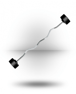 York Barbell Rubber Fixed Pro Curl Barbell Equipment