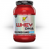 BSN Supplements Whey DNA
