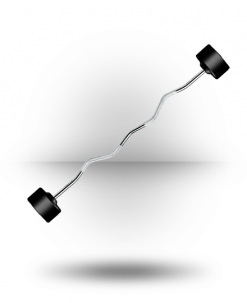 York Barbell Rubber Fixed Pro Curl Barbell Equipment