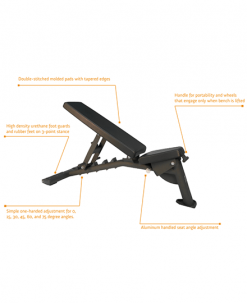 Torque Fitness Flat-Incline Bench Equipment