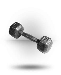 York Barbell Equipment Pro Hex Dumbbell With Cast Ergo Handle