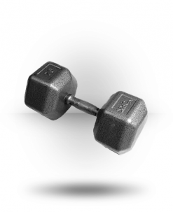 York Barbell Pro Hex Dumbbell With Cast Ergo Handle Equipment