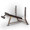 Body-Solid ProClubline Decline Olympic Bench Equipment
