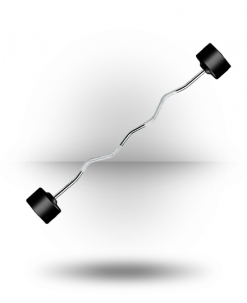 York Barbell Equipment Rubber Fixed Pro Curl Barbell