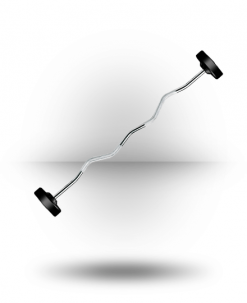 York Barbell Rubber Fixed Pro Curl Barbell Equipment