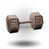 Body-Solid Hex Dumbbell