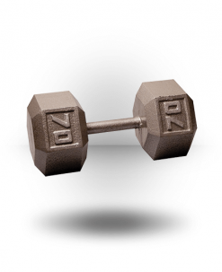 Body-Solid Hex Dumbbell