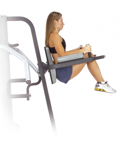 Body-Solid Knee Raise Attachment Equipment